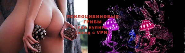 стафф Беломорск