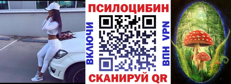 kraken онион  Краснокаменск  Галлюциногенные грибы Psilocybe 